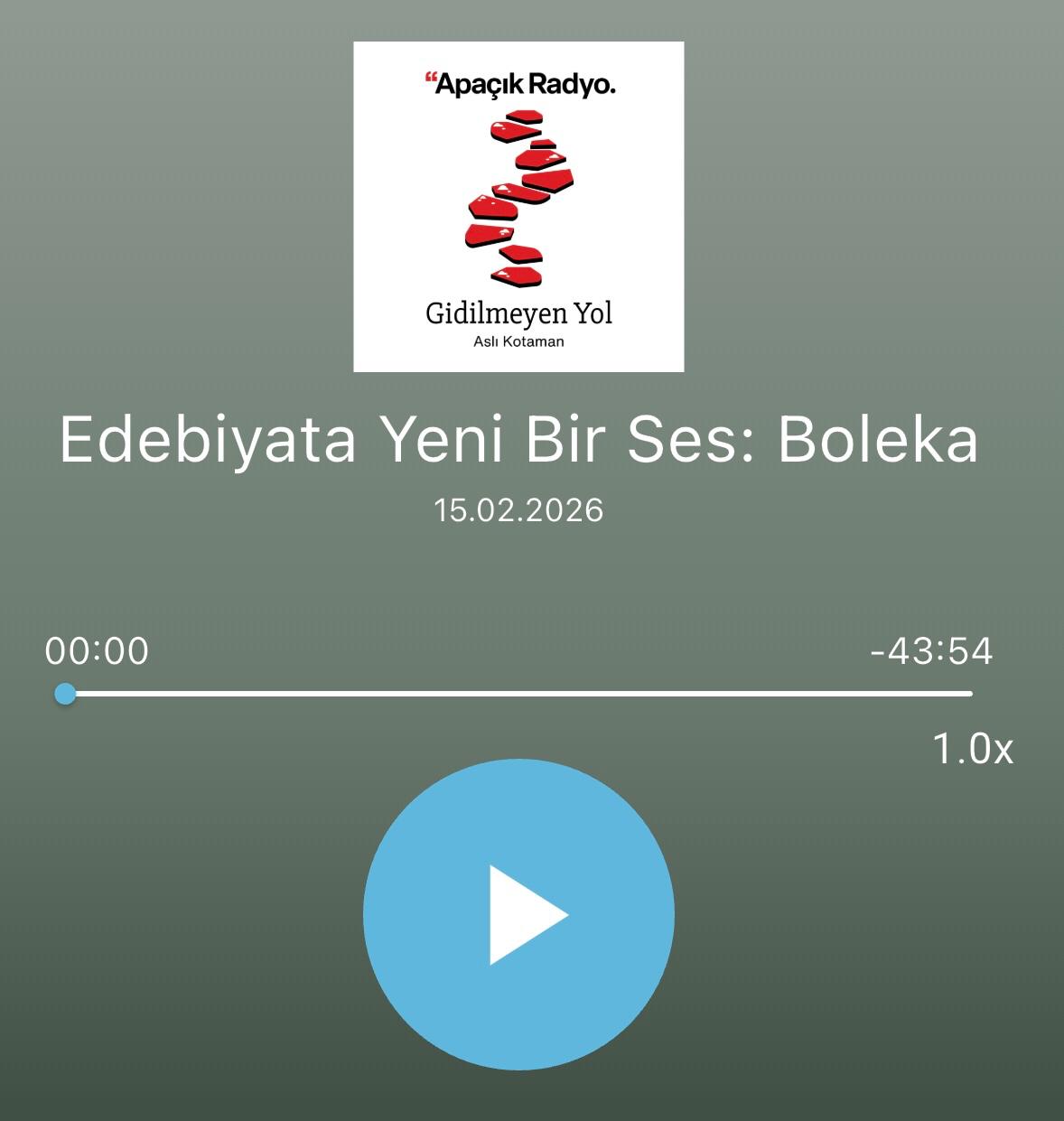 Edebiyata Yeni Bir Ses: Boleka
