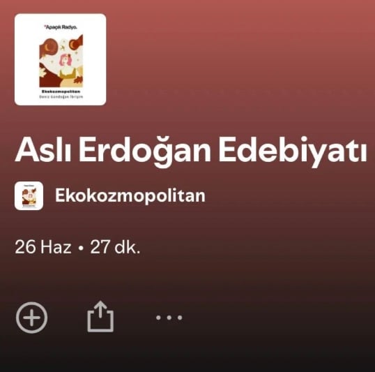 Aslı Erdoğan Edebiyatı